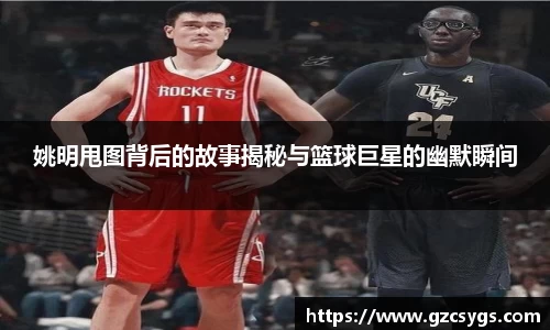 姚明甩图背后的故事揭秘与篮球巨星的幽默瞬间