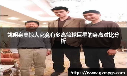 姚明身高惊人究竟有多高篮球巨星的身高对比分析